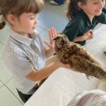 Leerlingen ontdekken de uilen